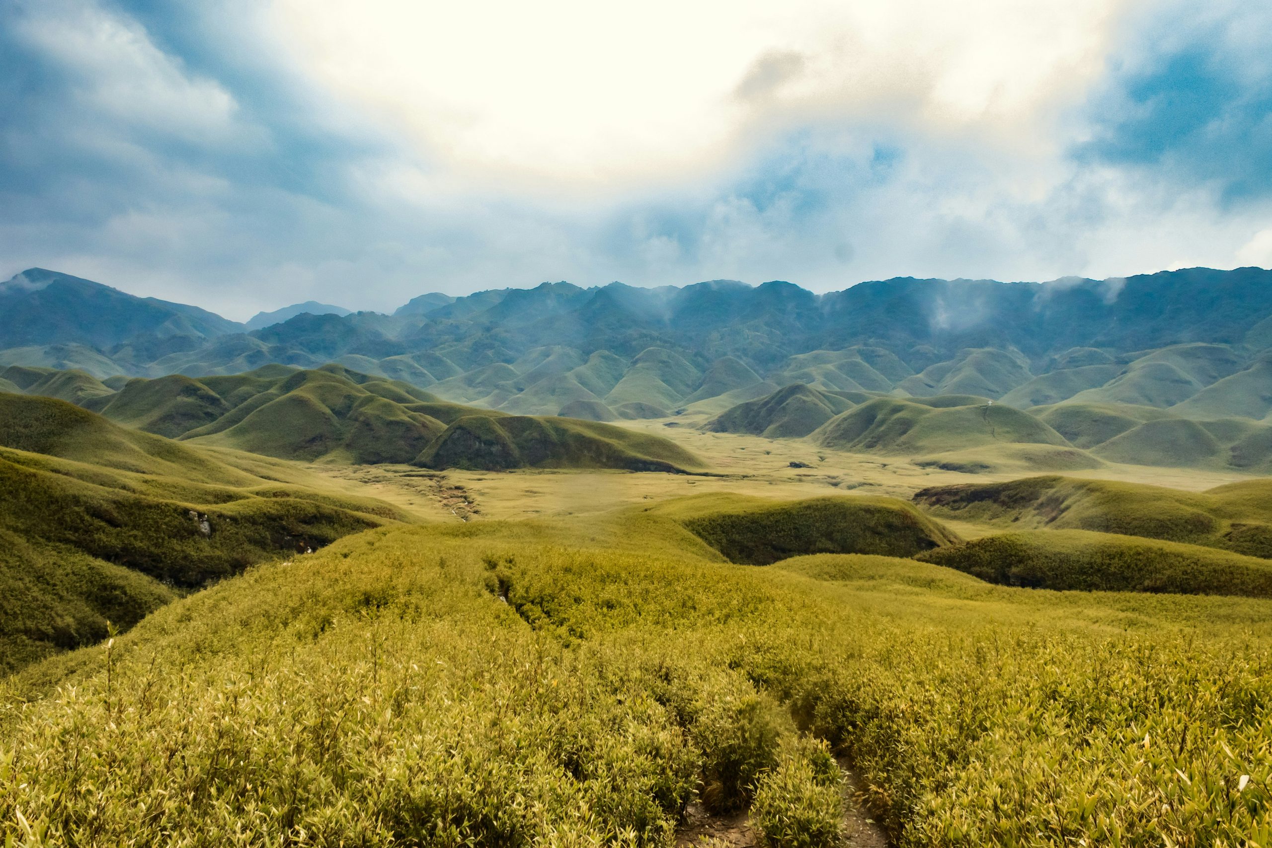 Dzukou Valley covered in lush green meadows surrounded by hills in Northeast India