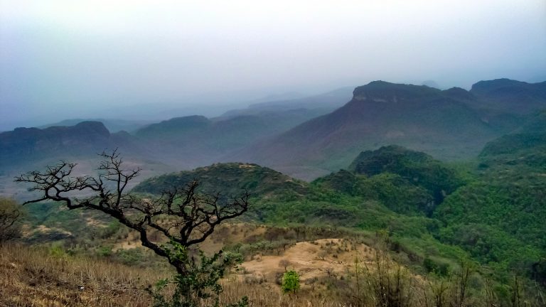 Thousands of tridents at the summit of Chauragarh Trek overlooking the Satpura hills near Pachmarhi, Madhya Pradesh