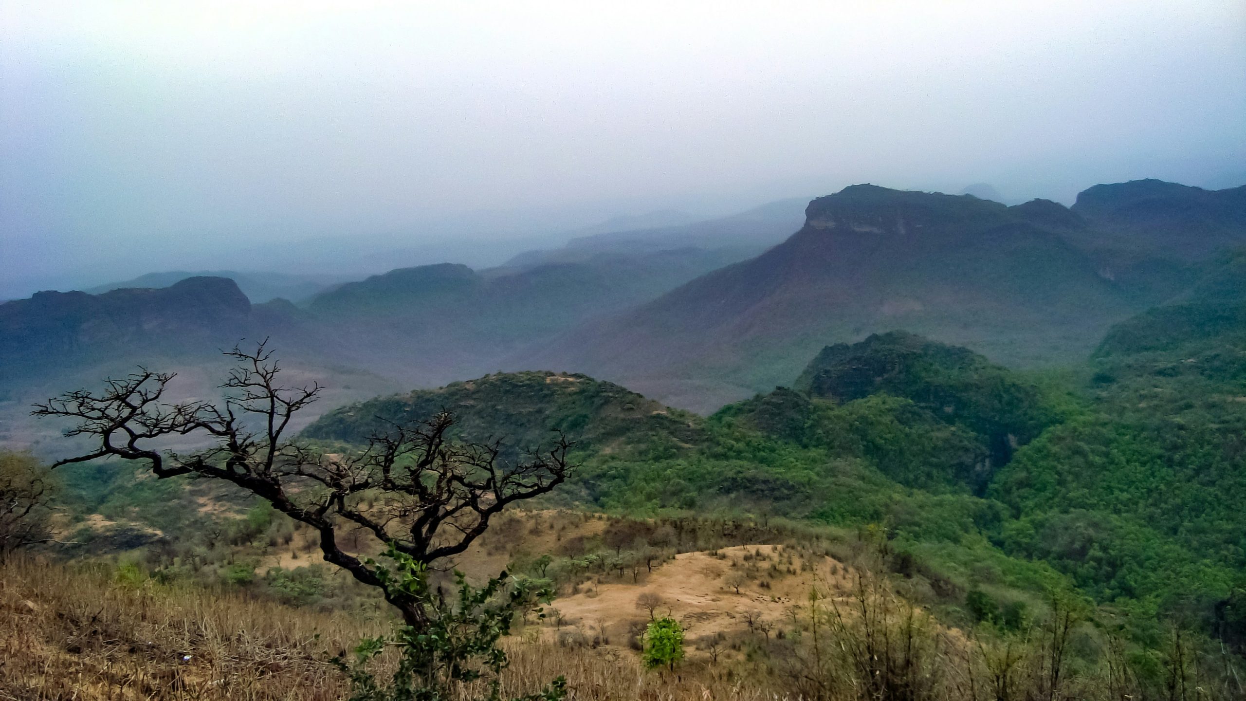 Thousands of tridents at the summit of Chauragarh Trek overlooking the Satpura hills near Pachmarhi, Madhya Pradesh
